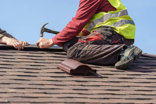 Best Roof Leak Repair  in Steelevle, IL