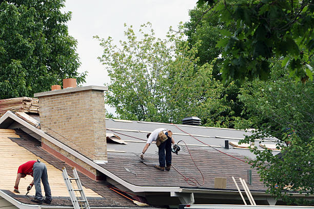 Best Gutter Installation and Roofing  in Steelevle, IL