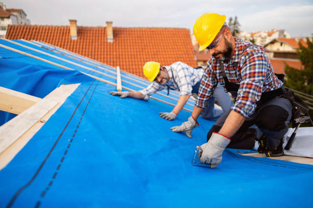 Best Flat Roof Repair Services  in Steelevle, IL
