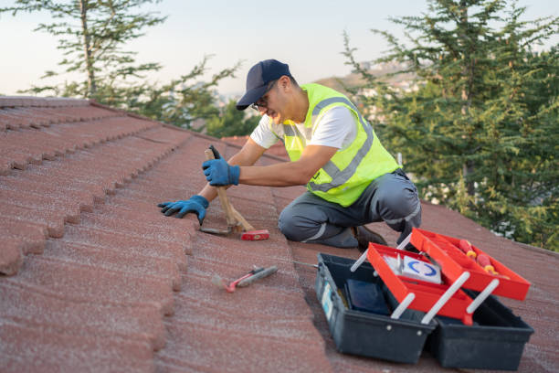 Best Best Roofing Contractors  in Steelevle, IL